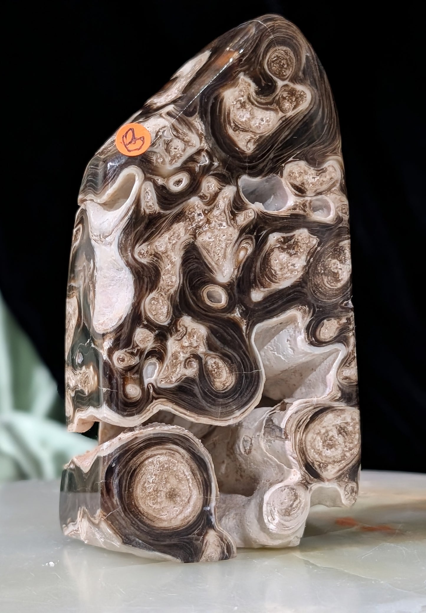 Chocolate Calcite Freeform