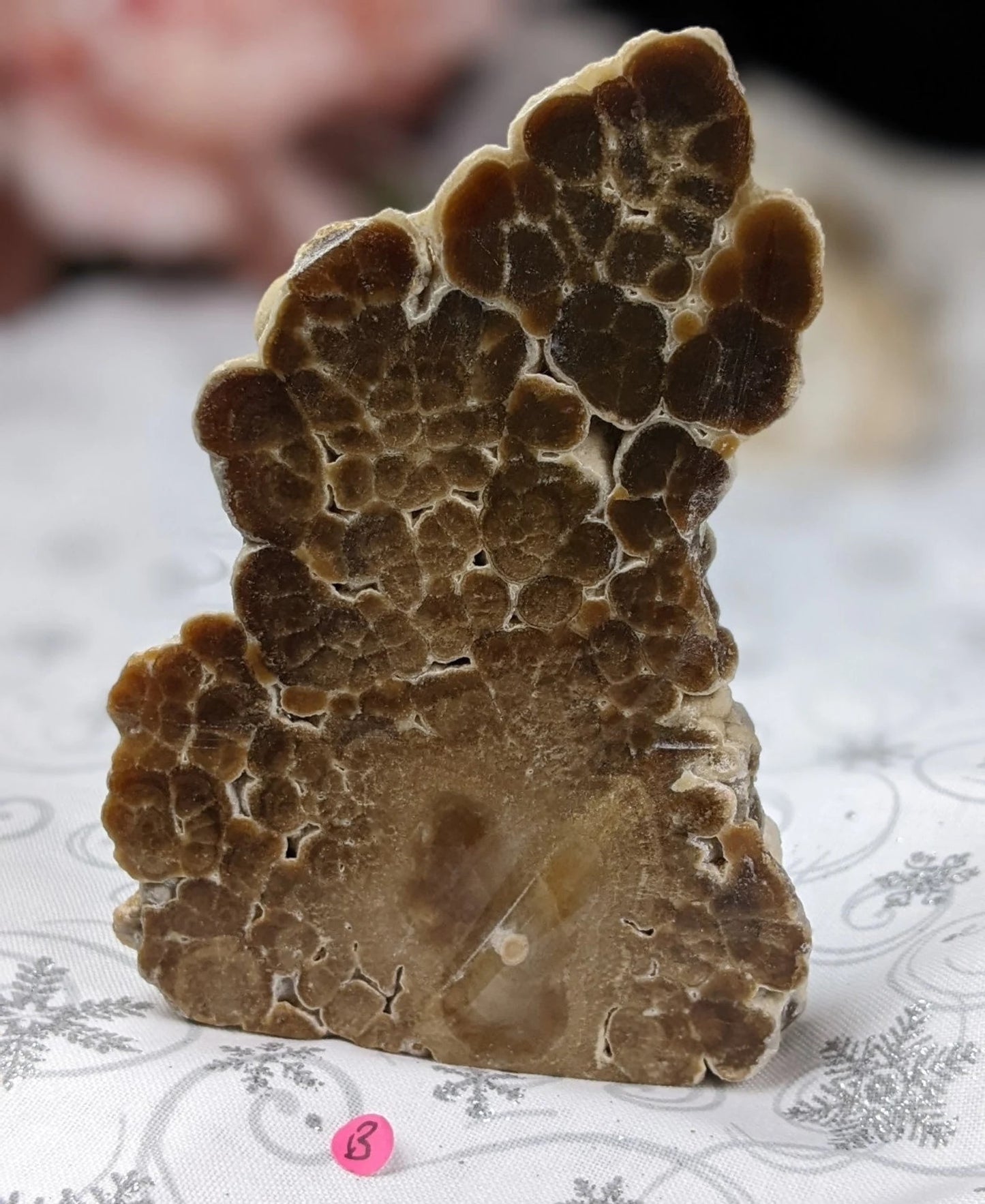 Bubble Chocolate Calcite Freeform 1B1