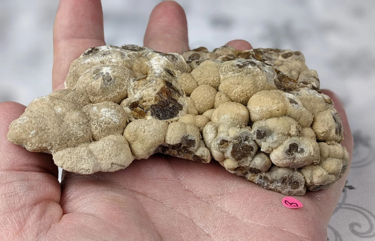 Bubble Chocolate Calcite Freeform 1B2