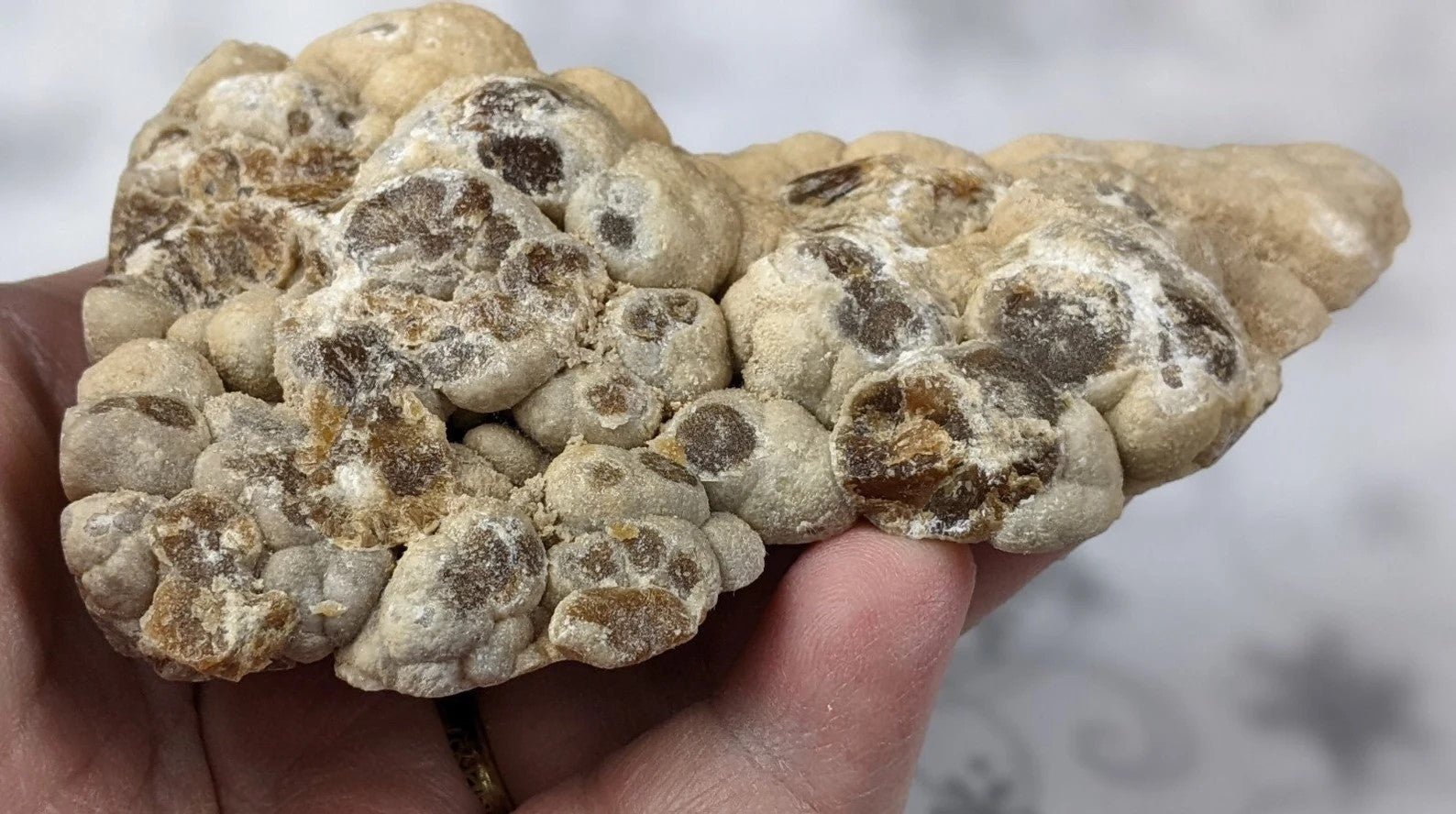 Bubble Chocolate Calcite Freeform 1B3