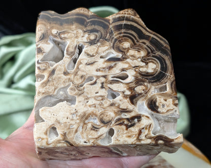 Chocolate Calcite Freeform