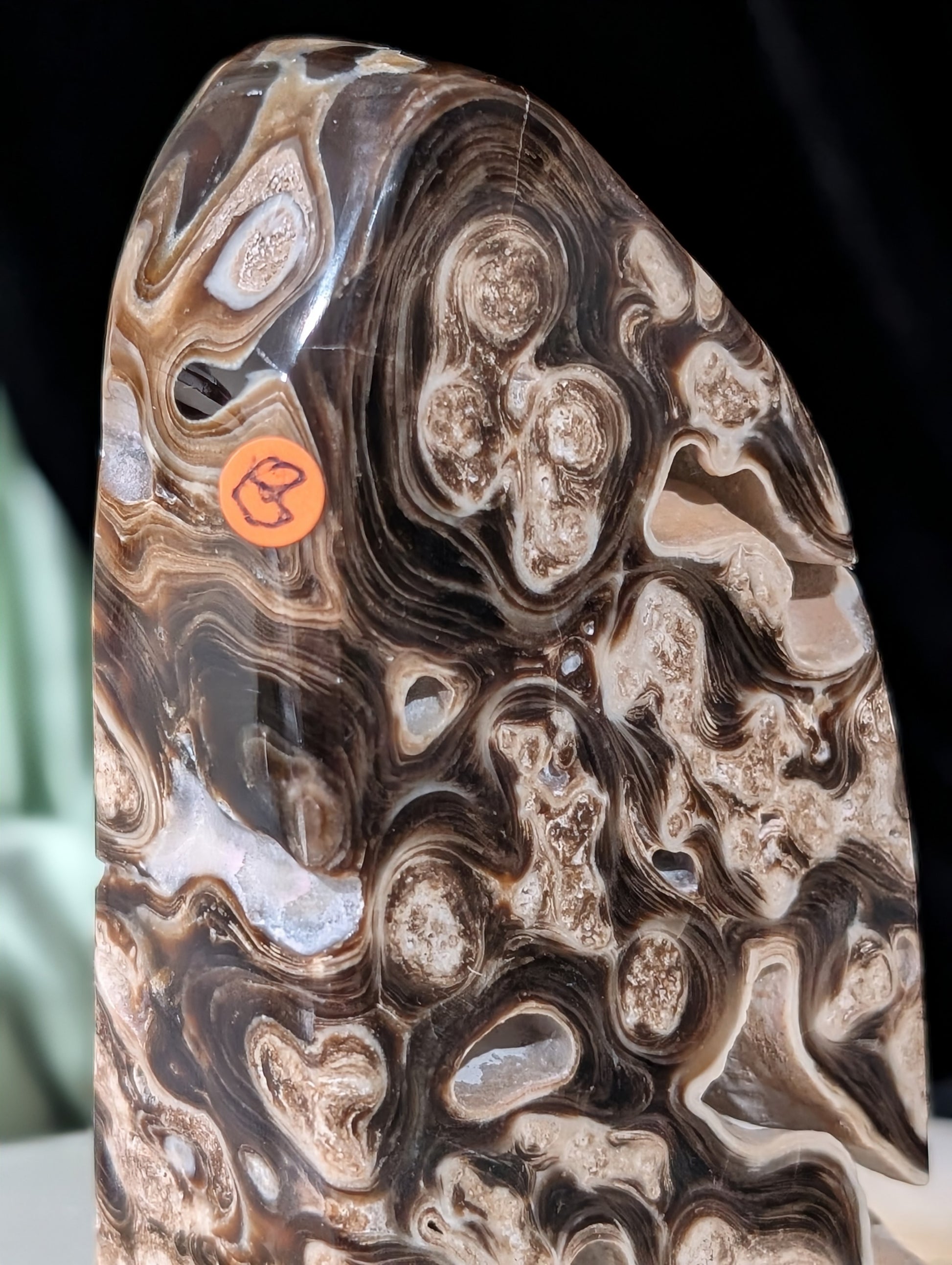 Chocolate Calcite Freeform
