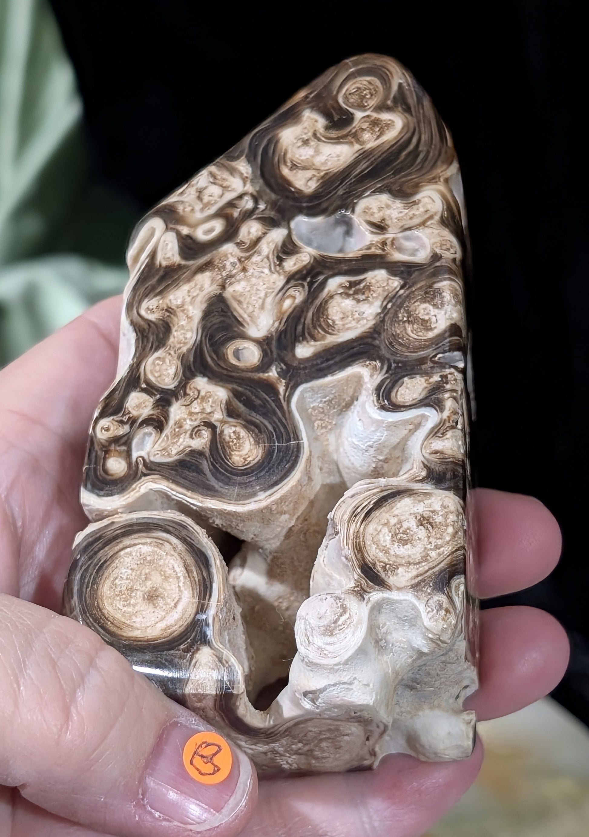 Chocolate Calcite Freeform