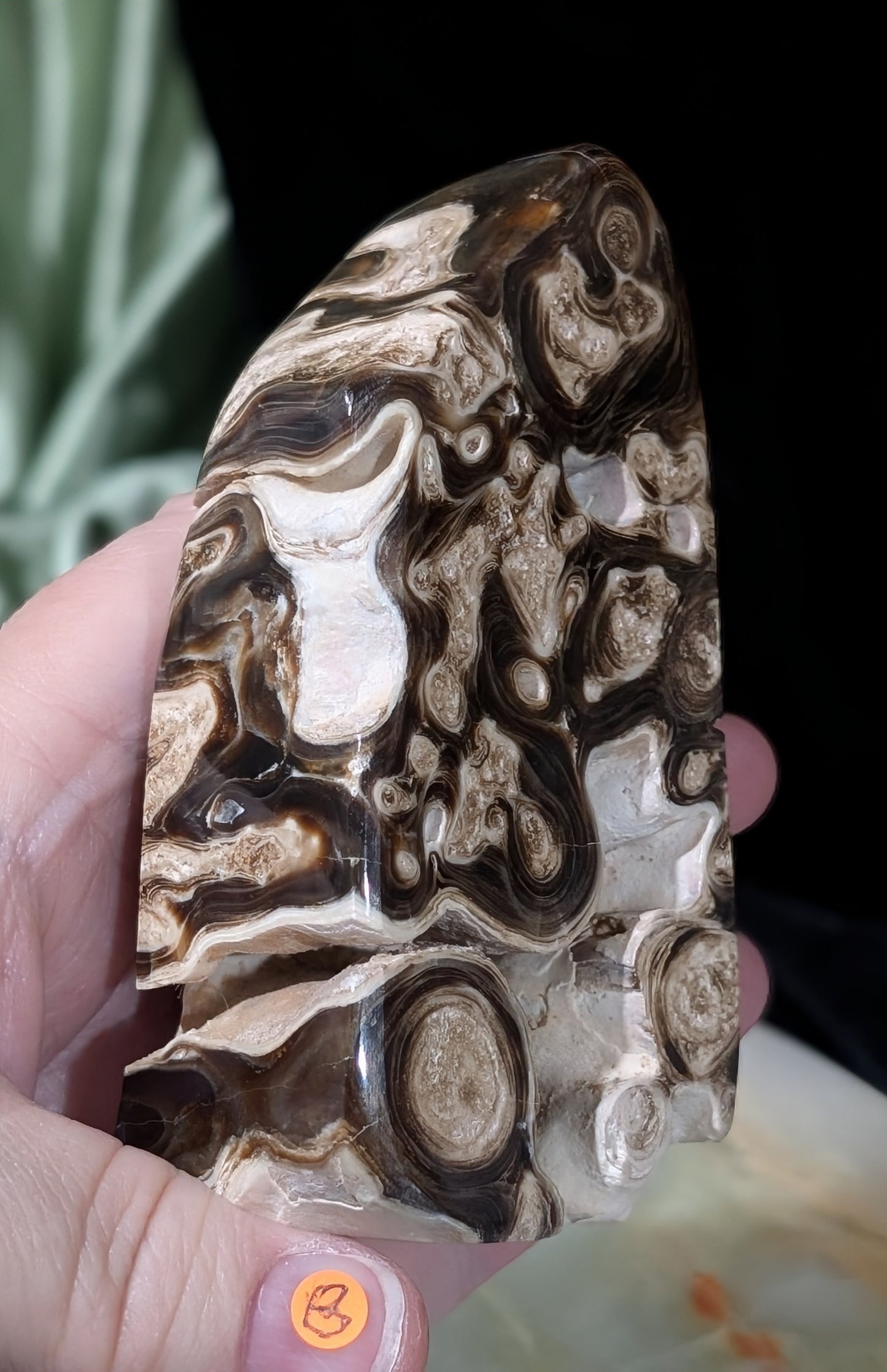 Chocolate Calcite Freeform