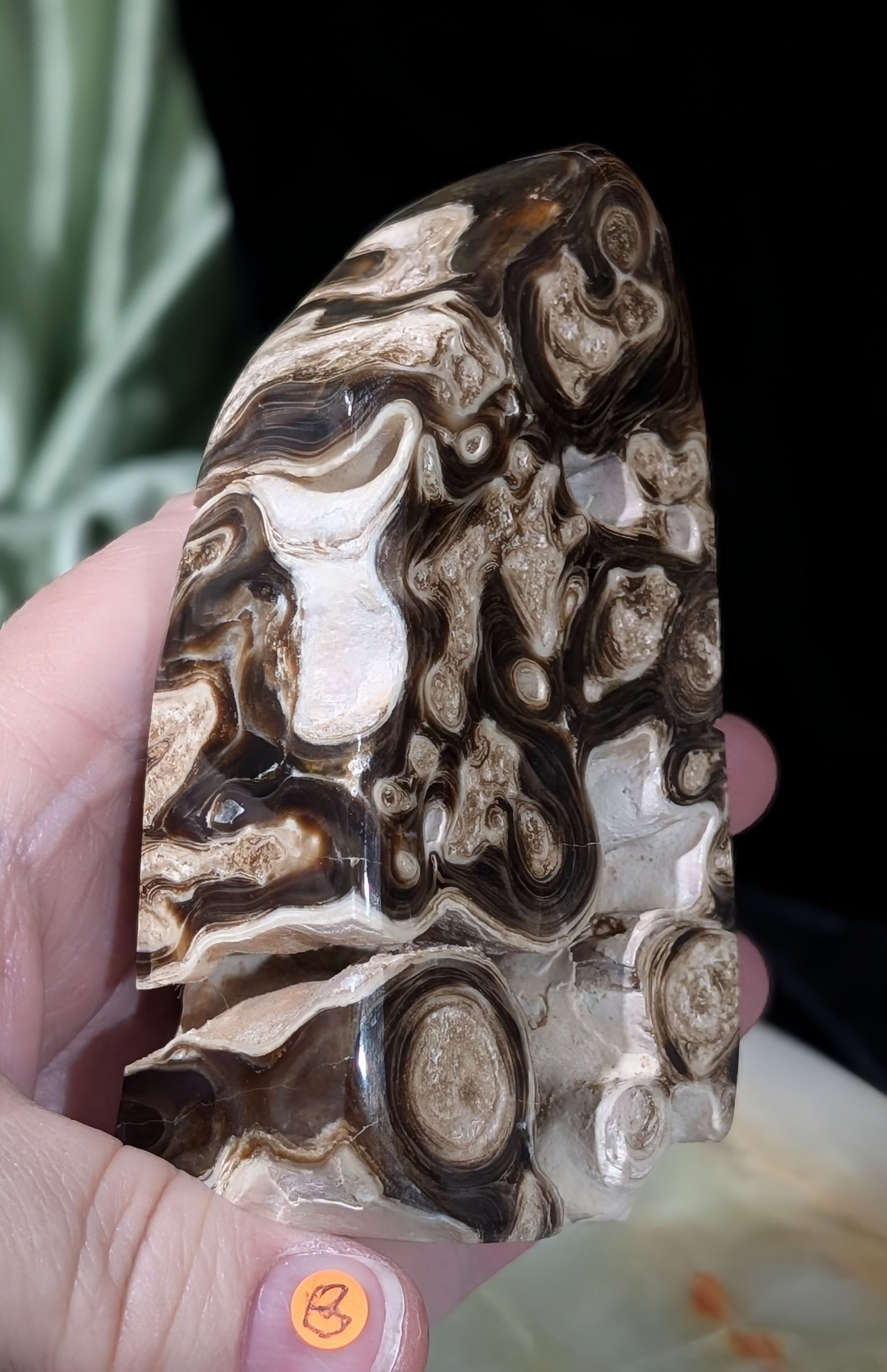 Chocolate Calcite Freeform