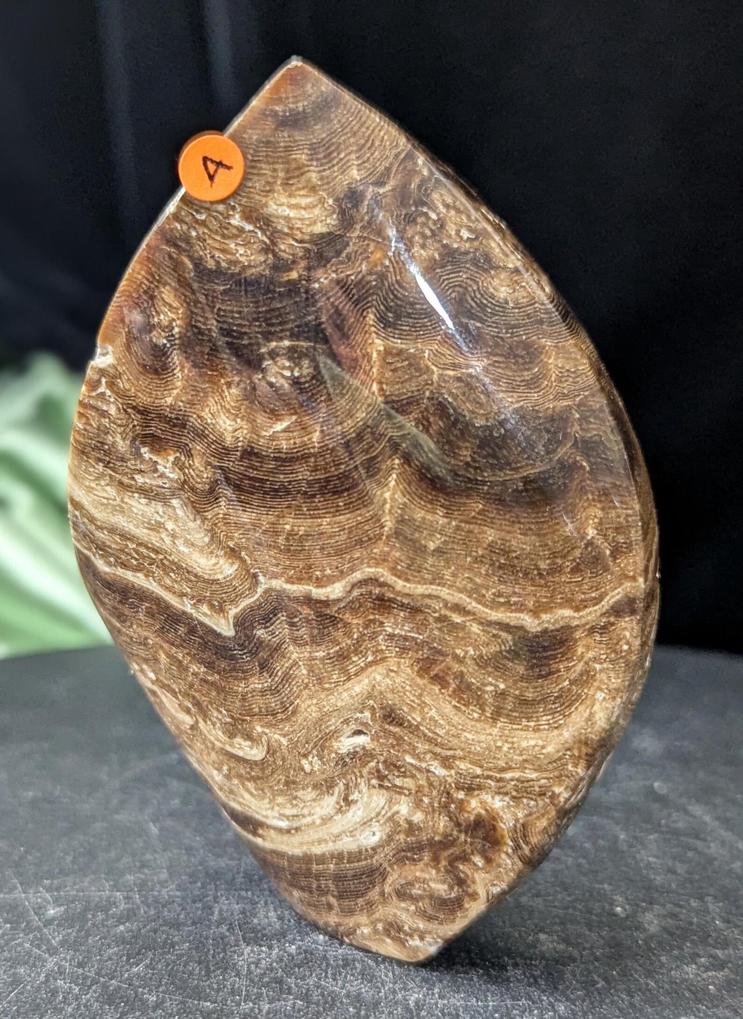 Chocolate Calcite Freeform Flame 1A1