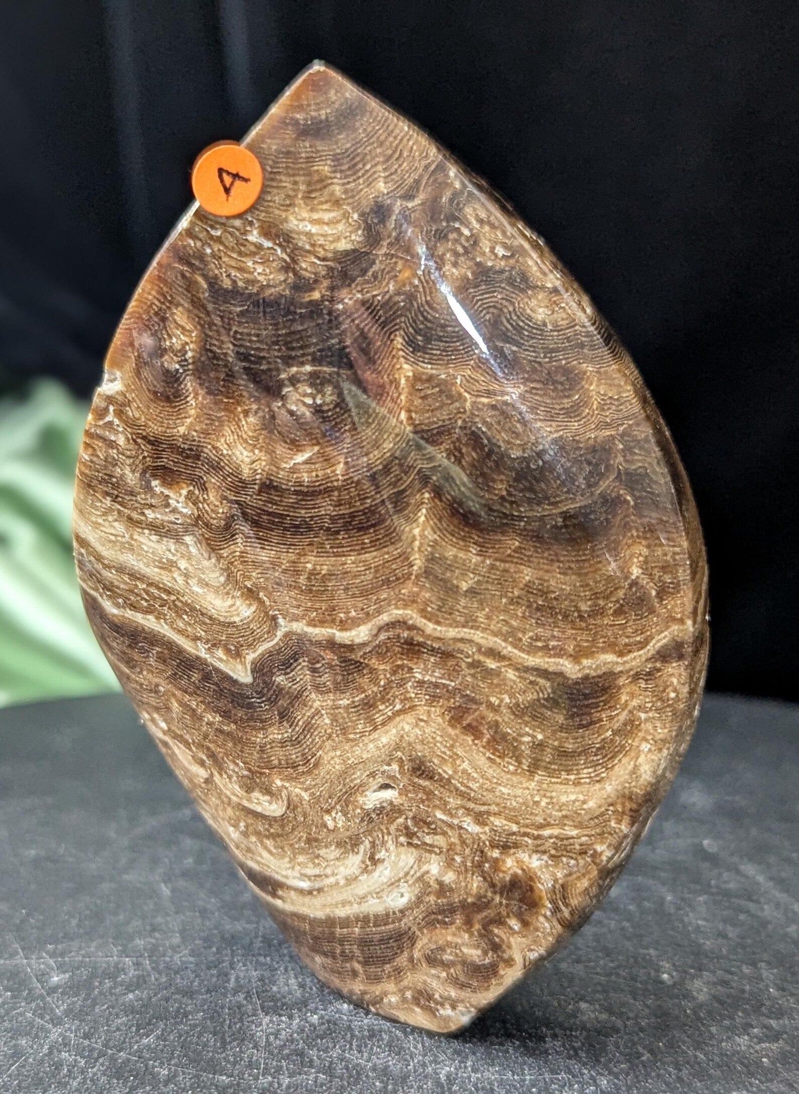 Chocolate Calcite Freeform Flame 1A1