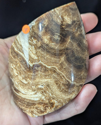 Chocolate Calcite Freeform Flame 1A3