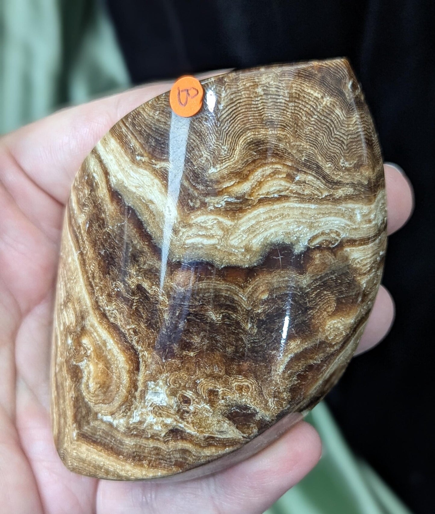 Chocolate Calcite Freeform Flame 1B2