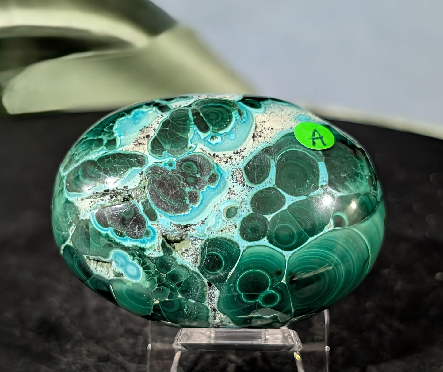 Chrysocolla with Malachite Palm Stone