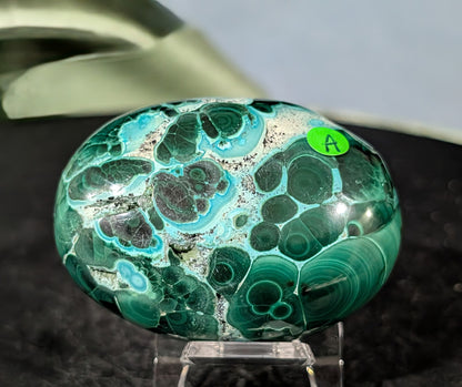 Chrysocolla with Malachite Palm Stone