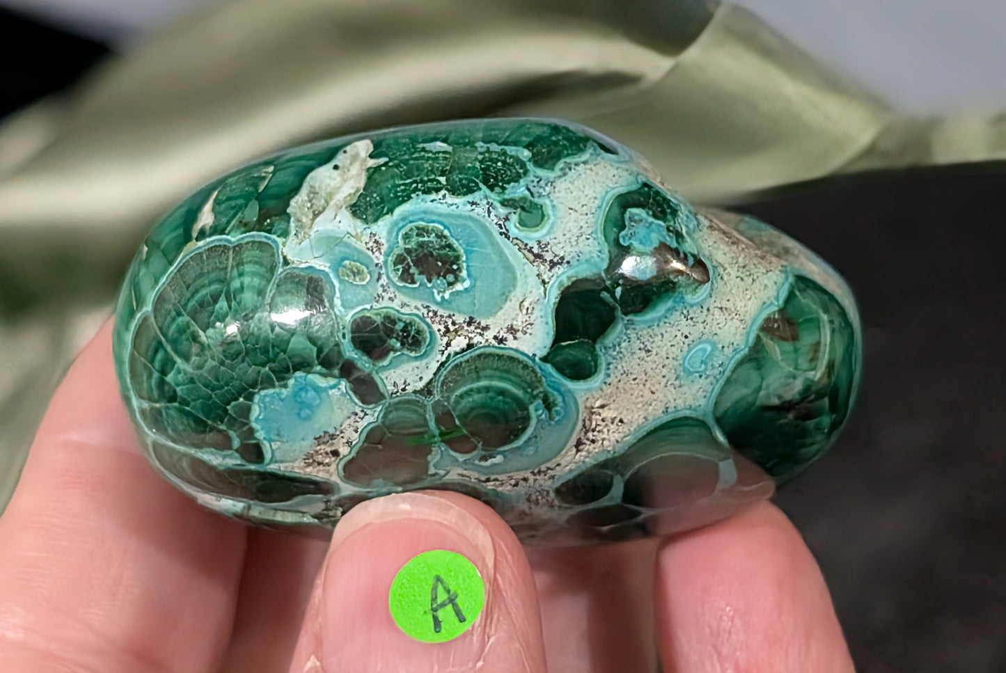 Chrysocolla with Malachite Palm Stone
