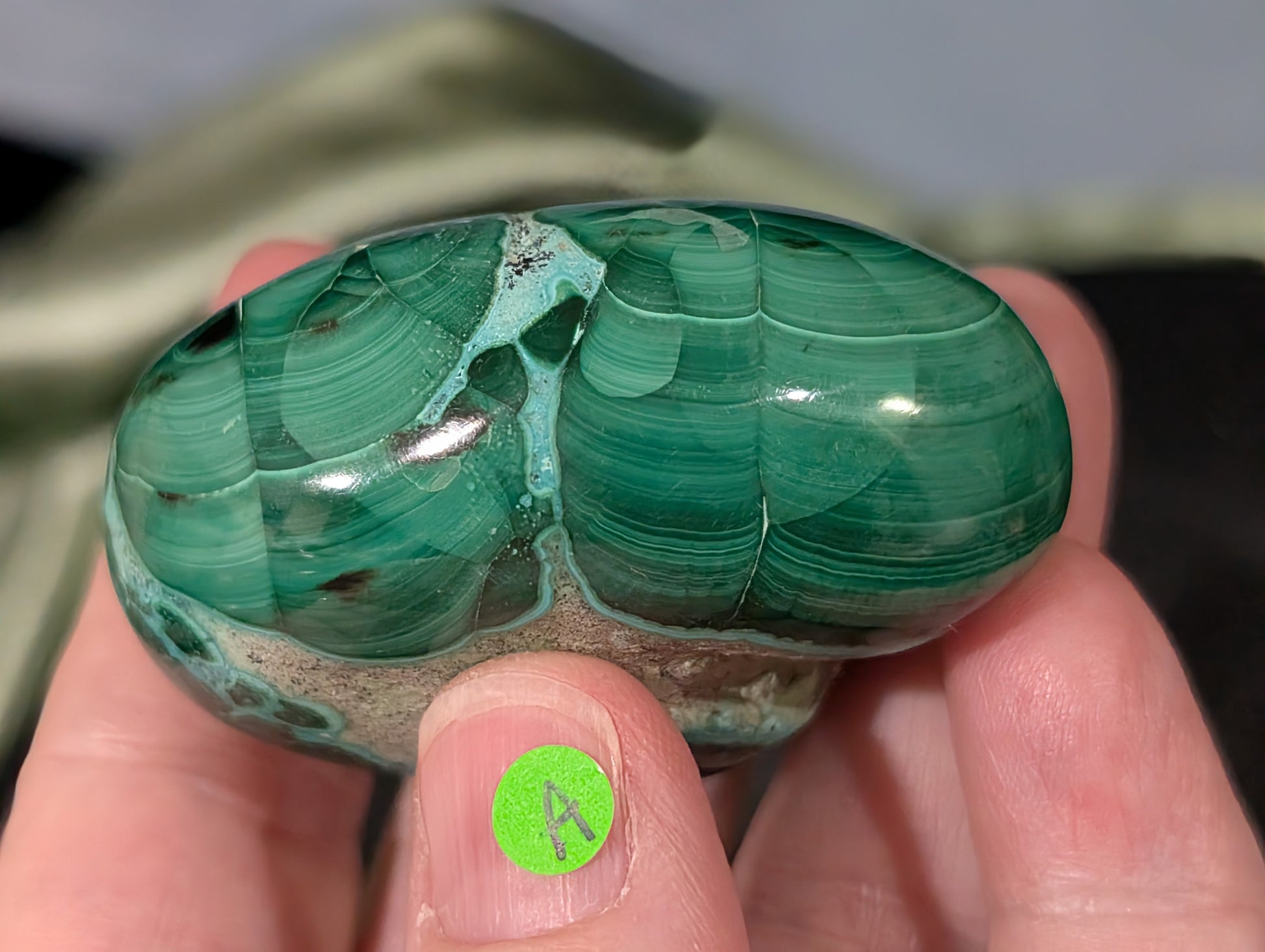 Chrysocolla with Malachite Palm Stone