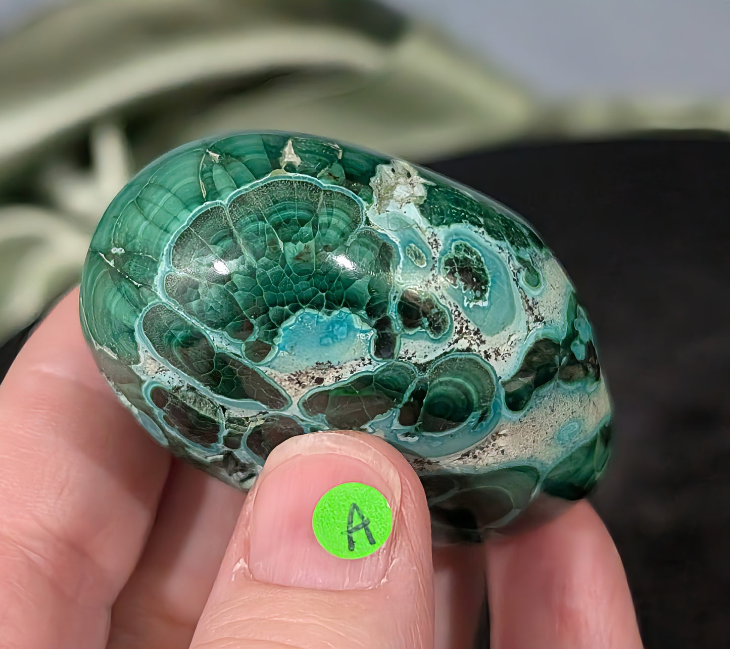 Chrysocolla with Malachite Palm Stone