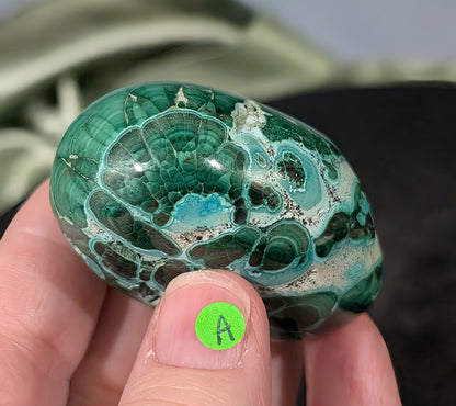Chrysocolla with Malachite Palm Stone