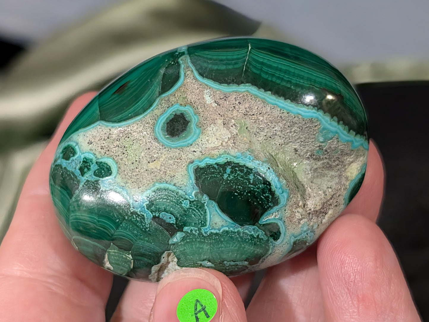 Chrysocolla with Malachite Palm Stone