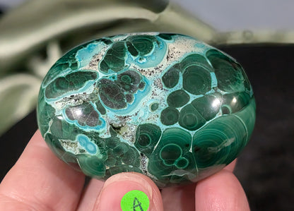 Chrysocolla with Malachite Palm Stone