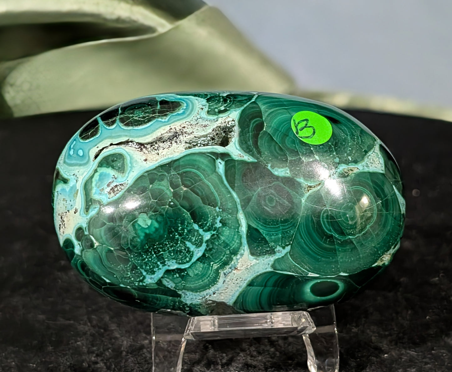 Chrysocolla with Malachite Palm Stone
