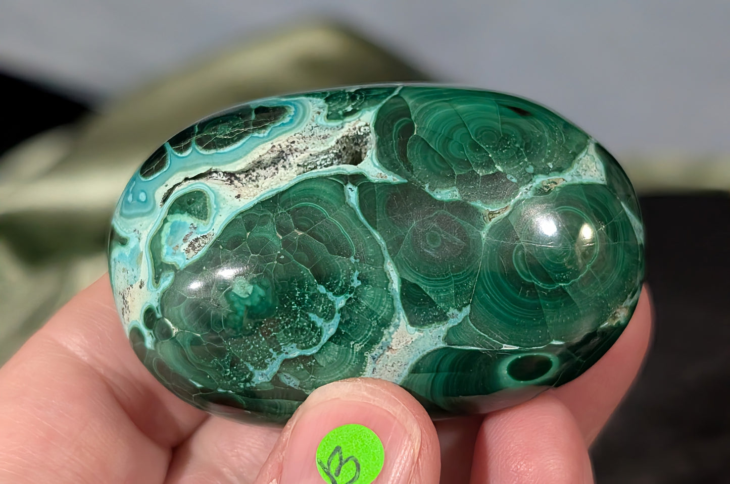 Chrysocolla with Malachite Palm Stone