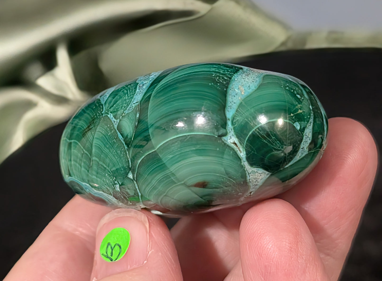 Chrysocolla with Malachite Palm Stone