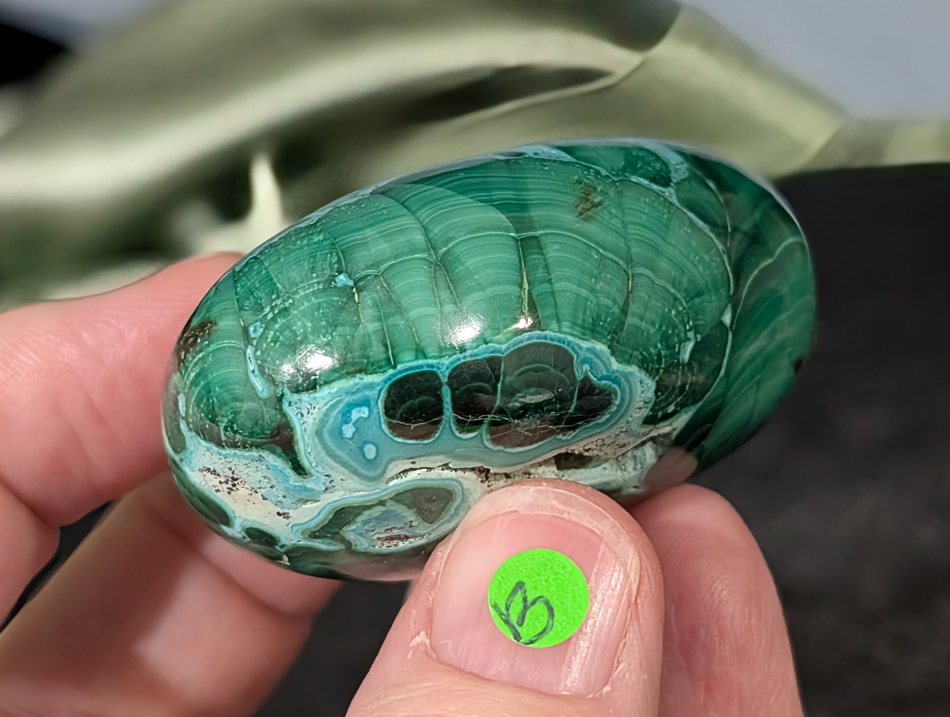 Chrysocolla with Malachite Palm Stone
