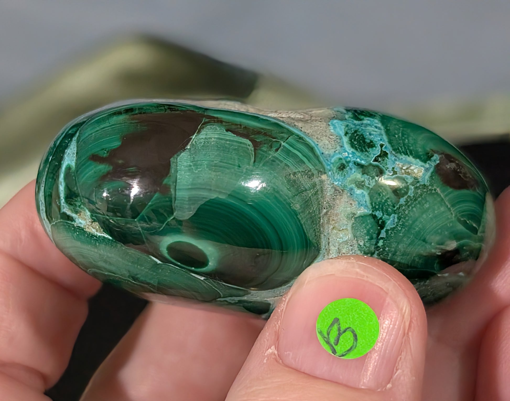 Chrysocolla with Malachite Palm Stone