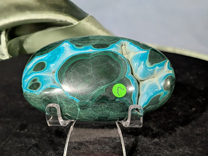 Chrysocolla with Malachite Palm Stone