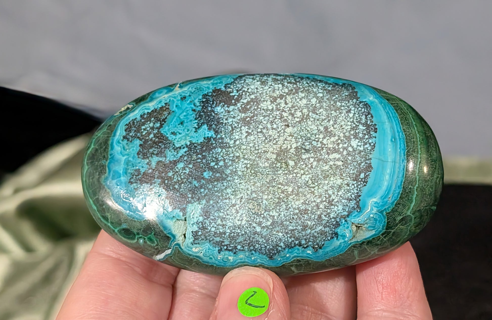 Chrysocolla with Malachite Palm Stone