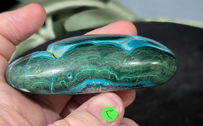 Chrysocolla with Malachite Palm Stone