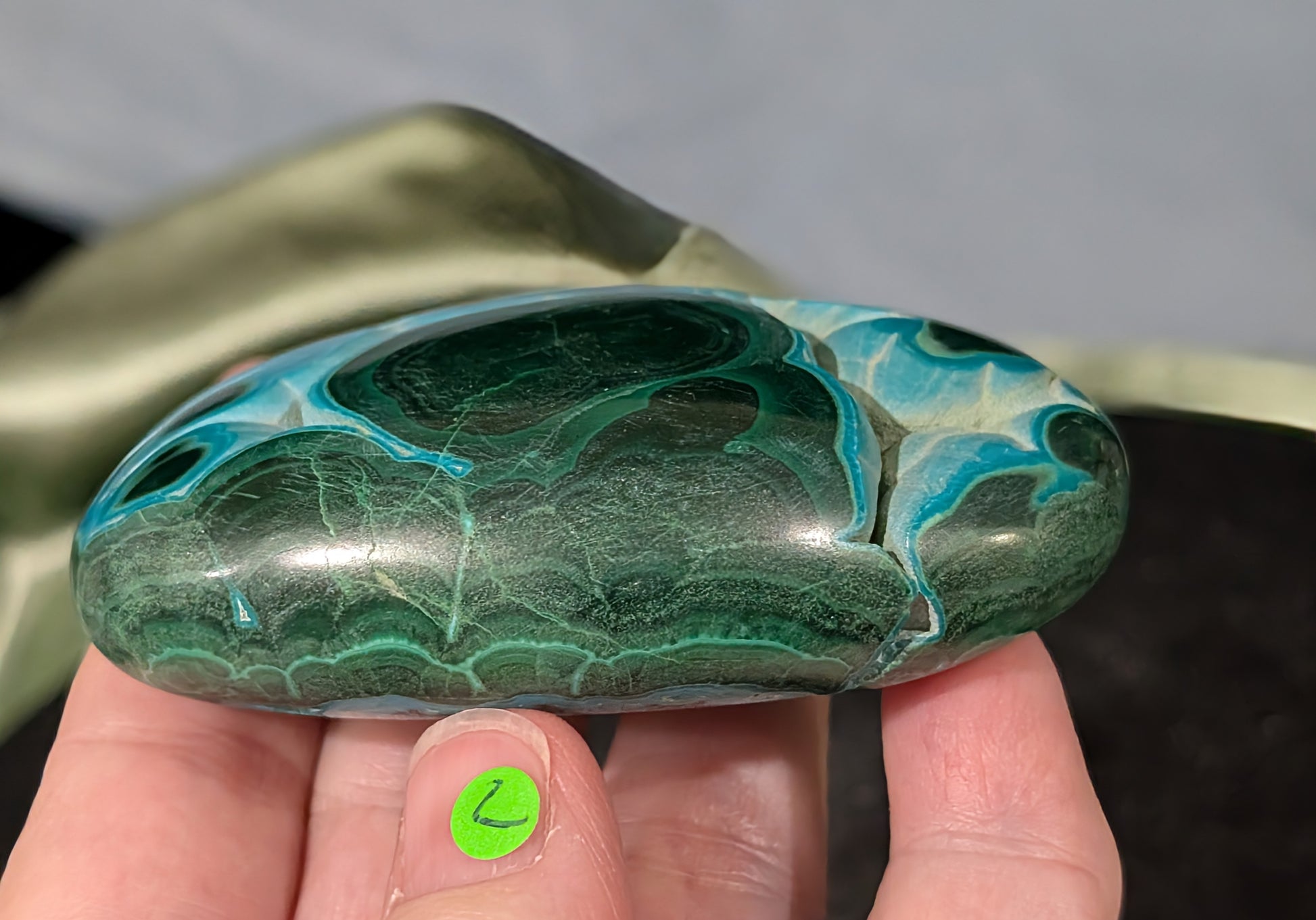 Chrysocolla with Malachite Palm Stone