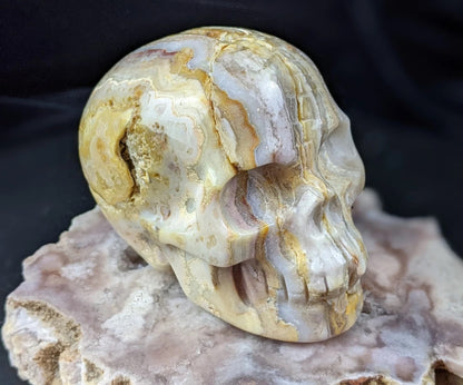 Crazy Lace Agate Skull Carving