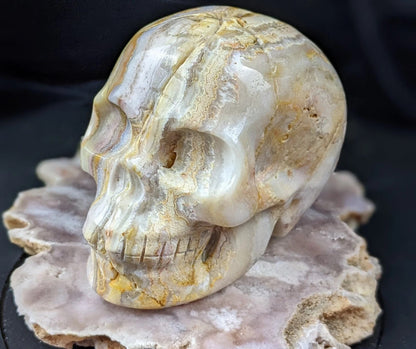 Crazy Lace Agate Skull Carving