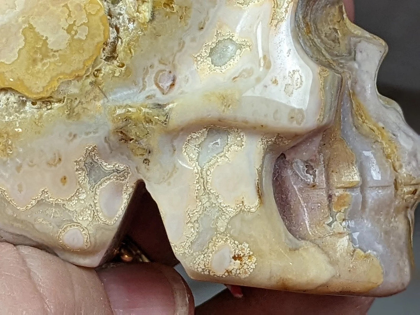 Crazy Lace Agate Skull Carving