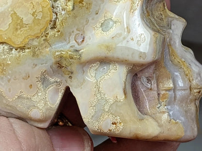 Crazy Lace Agate Skull Carving