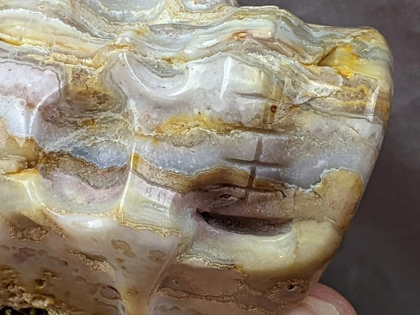 Crazy Lace Agate Skull Carving