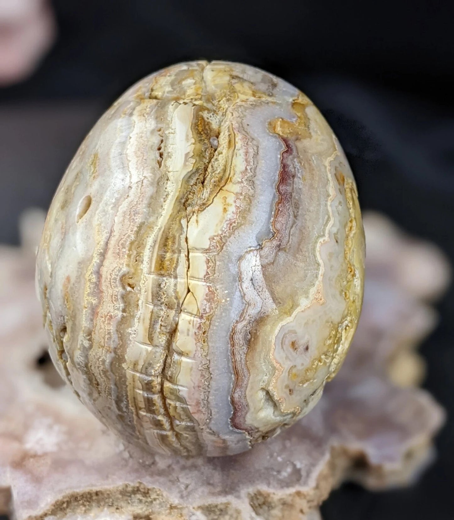 Crazy Lace Agate Skull Carving