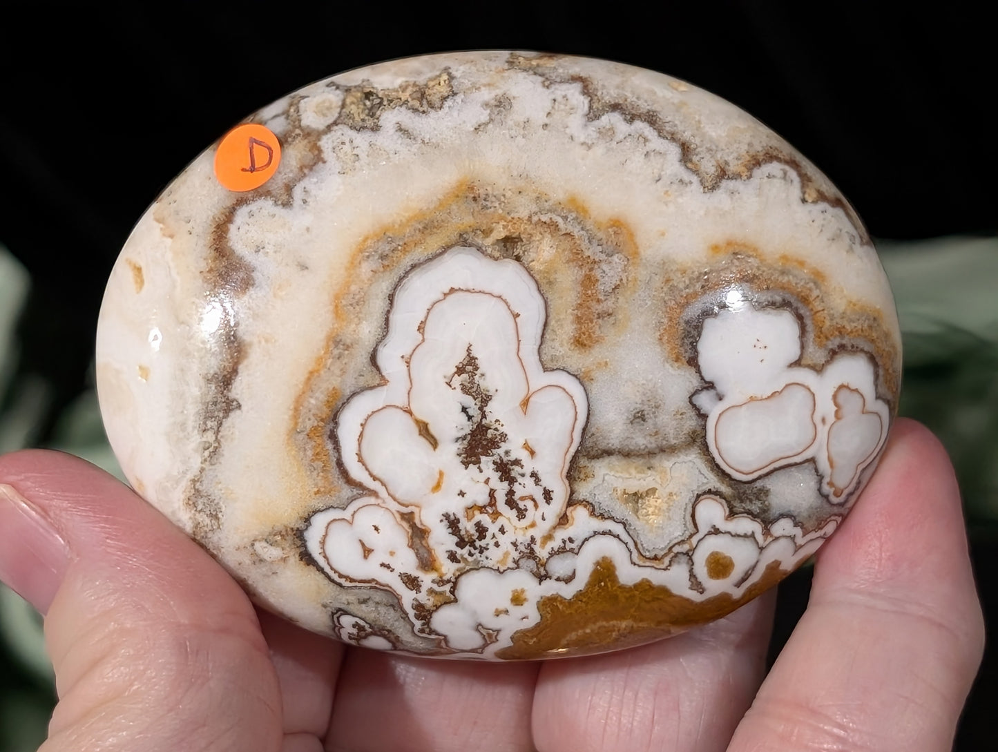Dendritic Calcite Palm Stone 1D2