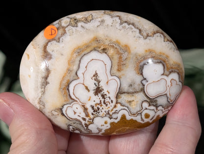 Dendritic Calcite Palm Stone 1D2