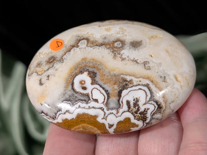 Dendritic Calcite Palm Stone 1D3