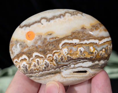 Dendritic Calcite Palm Stone 1F2