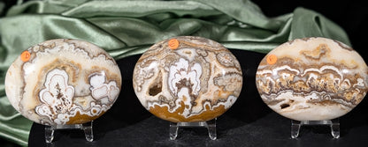 Dendritic Calcite Palm Stones