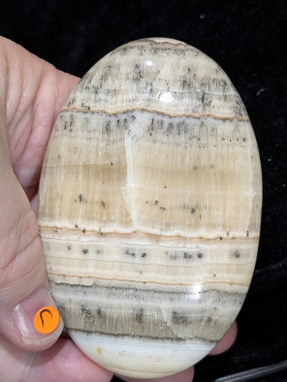 Dendritic Honey Calcite Palm