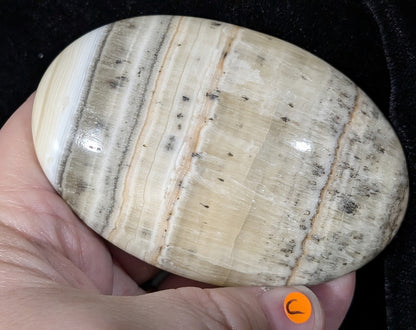 Dendritic Honey Calcite Palm