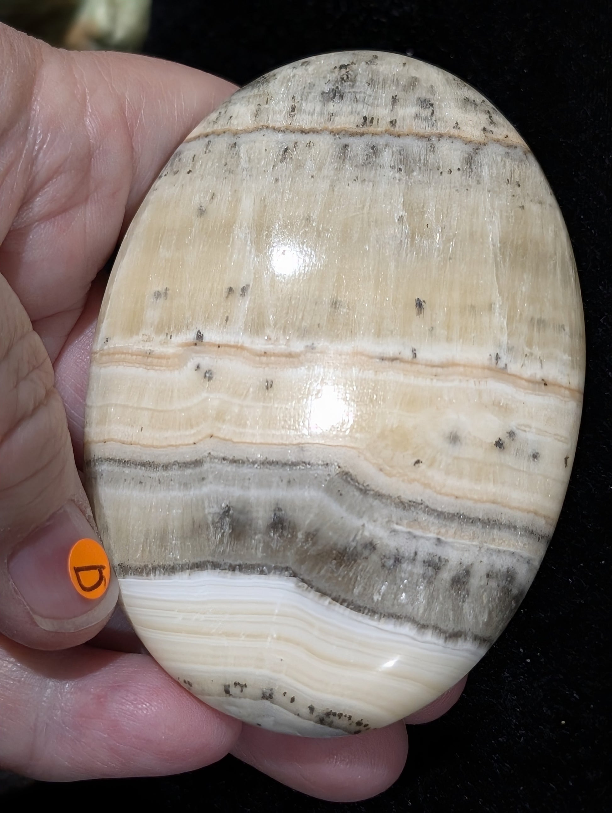 Dendritic Honey Calcite Palm