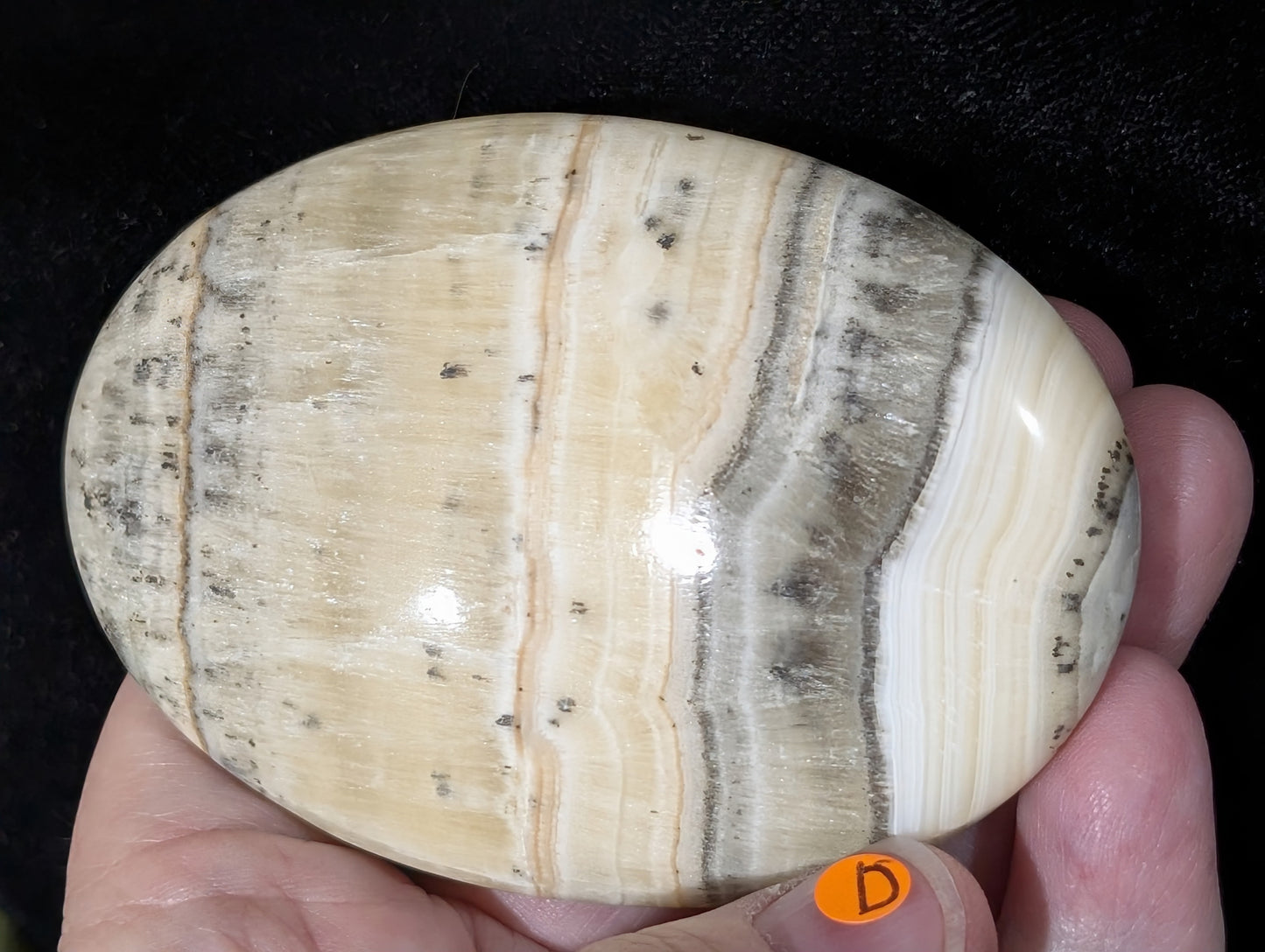 Dendritic Honey Calcite Palm
