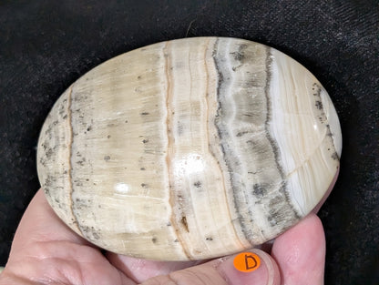 Dendritic Honey Calcite Palm