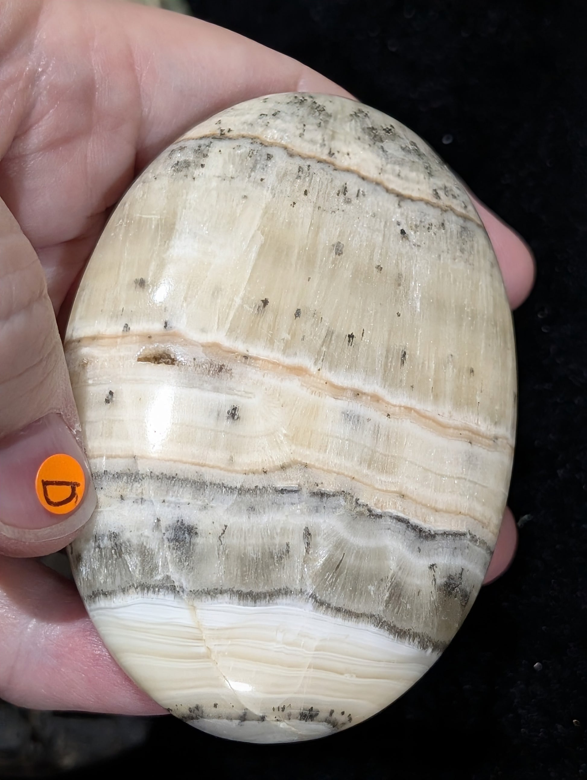 Dendritic Honey Calcite Palm