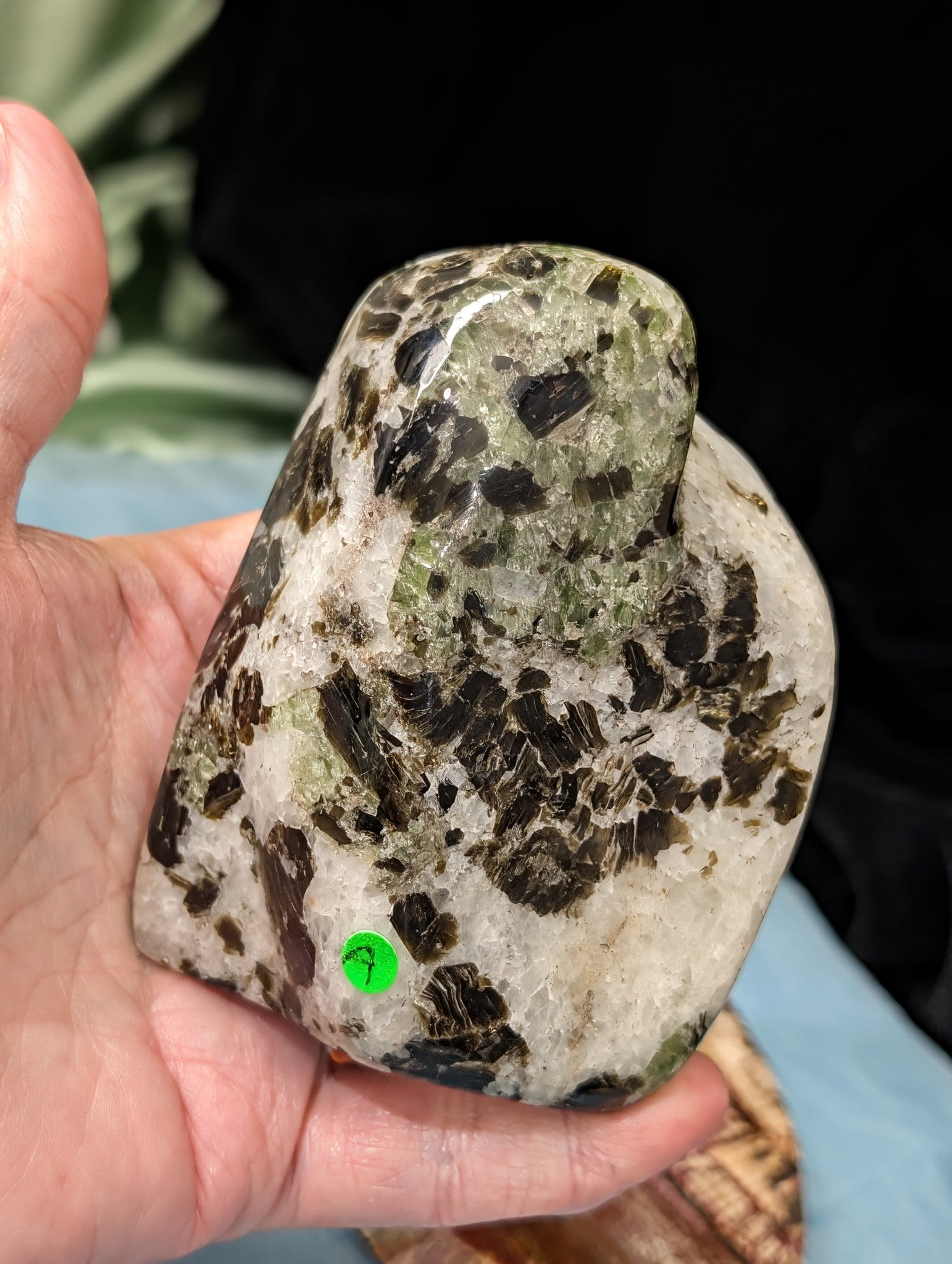 Diopside with Mica Freeform
