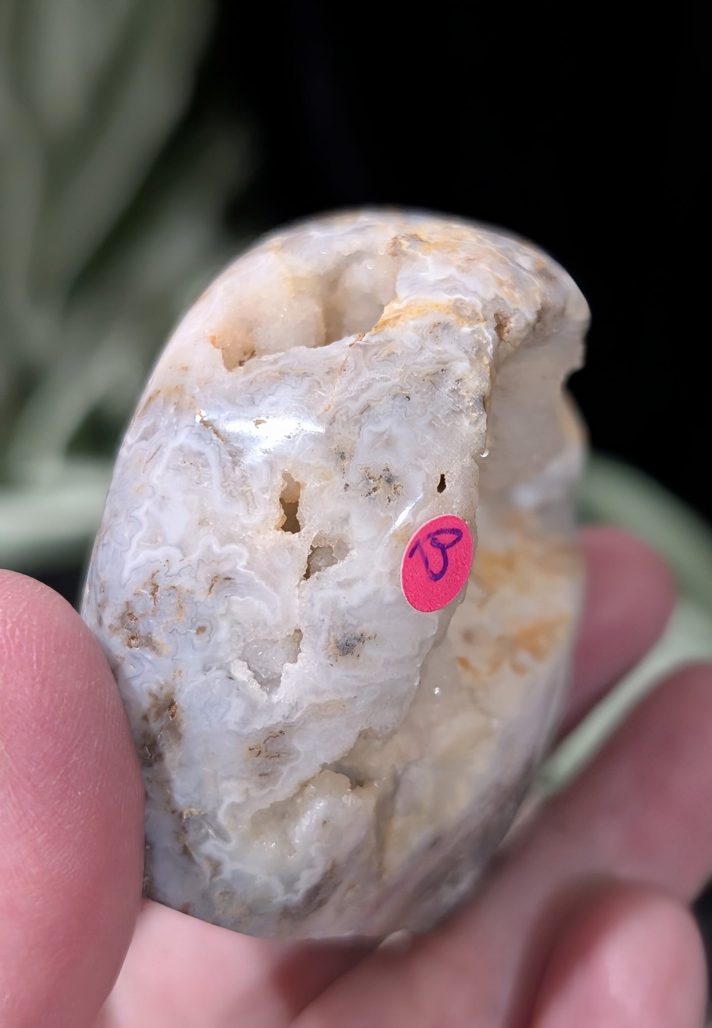 Druzy Indonesian Blue Moss Agate Freeform 1B5