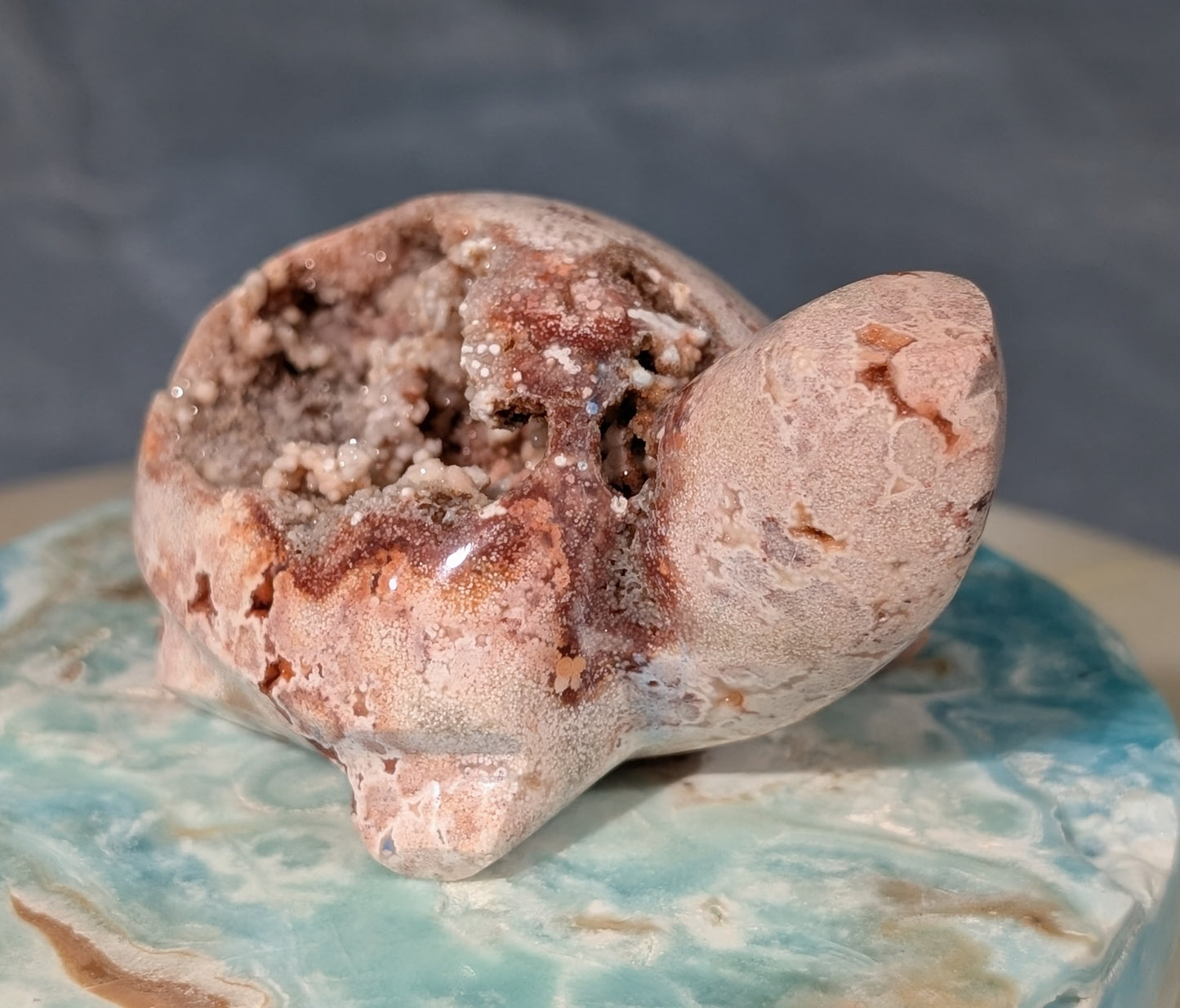 Druzy Pink Crazy Lace Agate Turtle Figurine
